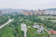 八字测名西宁市举办六五环境日主题宣传活动
