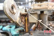 八字测名小蚕虫变身“产业龙”，广西这座小城如何实现“破茧重生”？