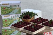 八字测名高速赋能产业升级：一条“杨梅路”的致富密码